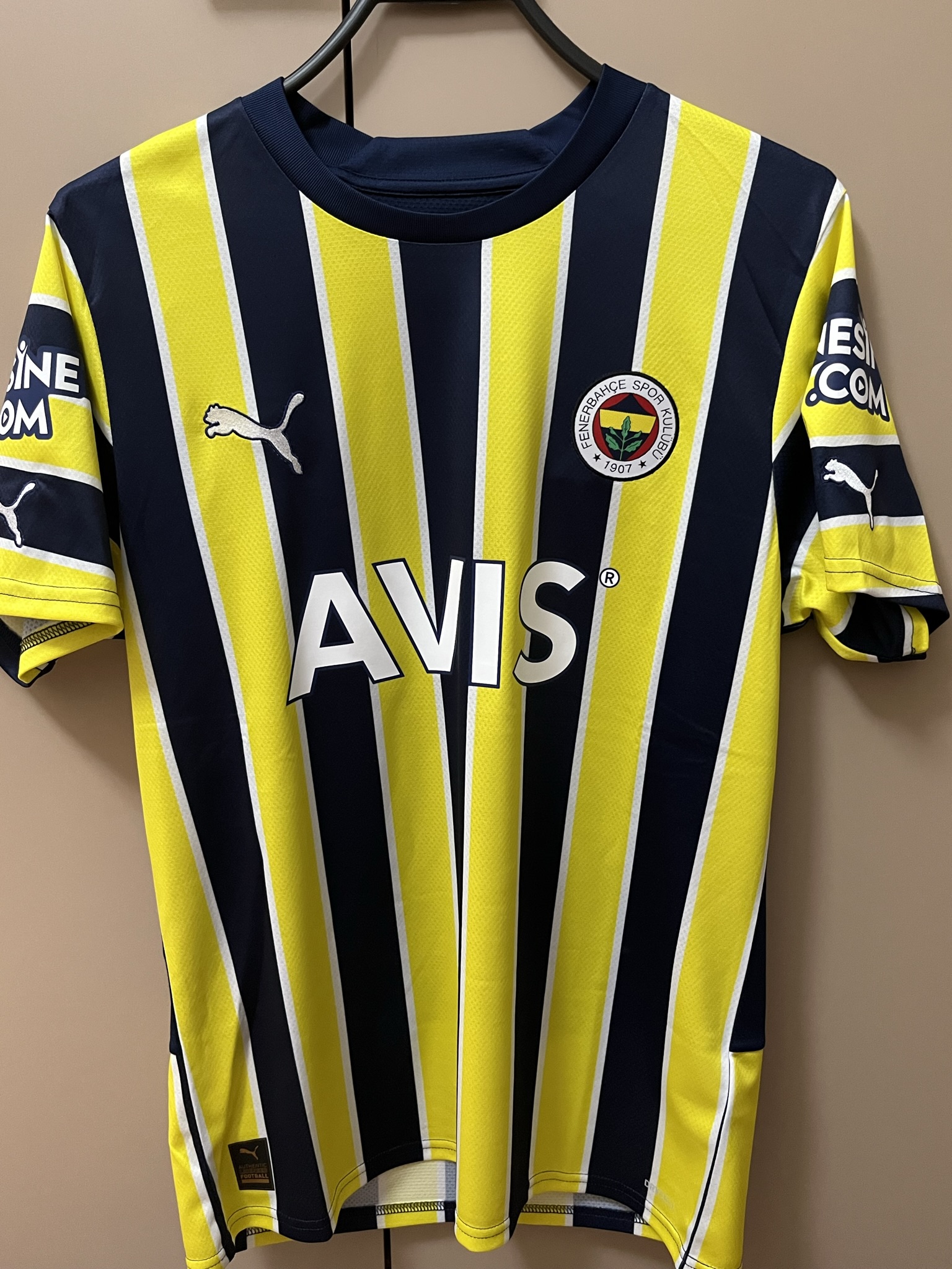 Fenerbahçe 2022-2023