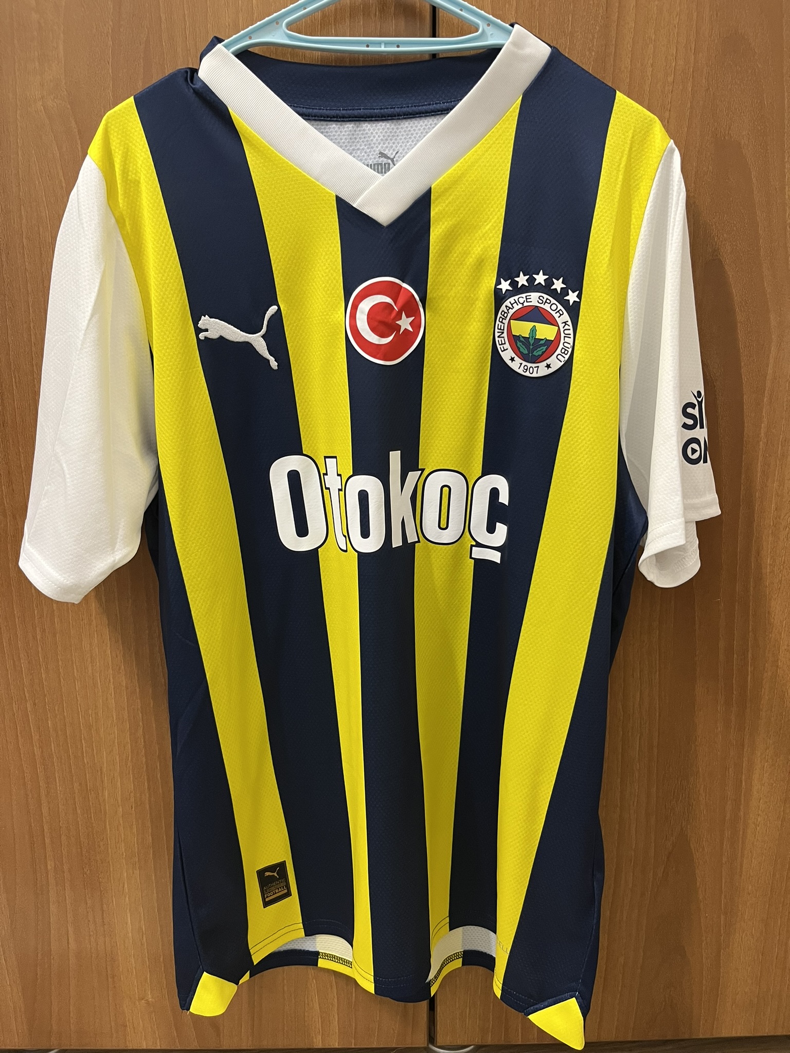 Fenerbahçe 2023-2024